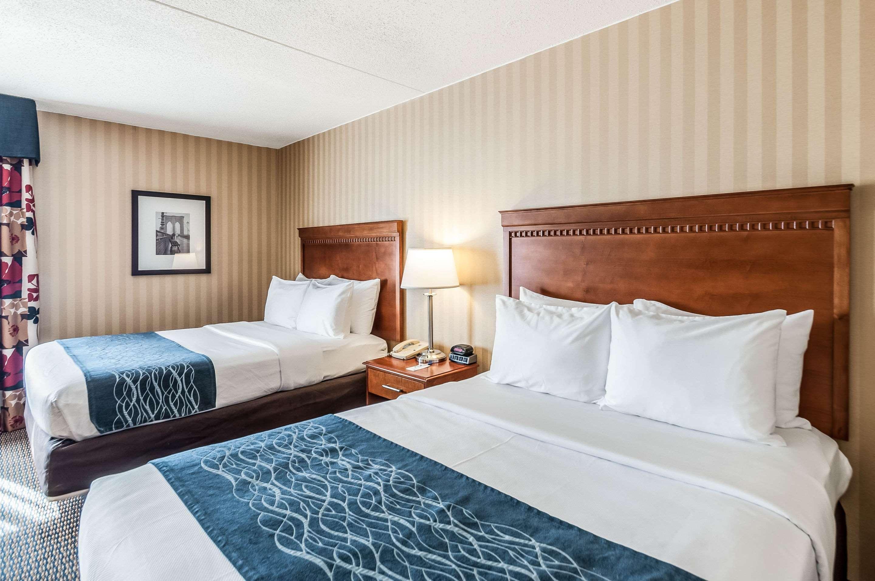 Comfort Inn & Suites Alexandria West Exteriér fotografie